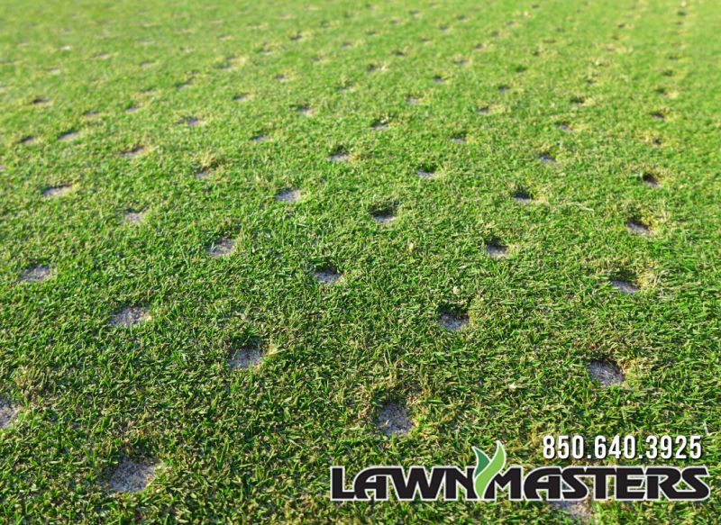 A lawn showing the holes after an aeration service. 