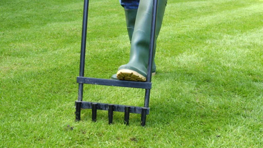 A person performing spiking for lawn aeration.