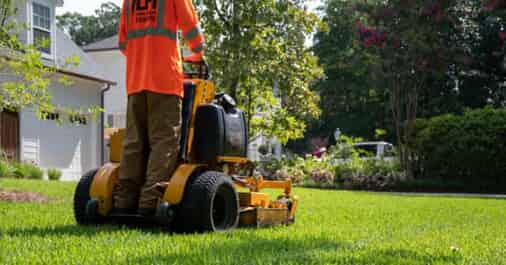 Rid Your Lawn of Weeds