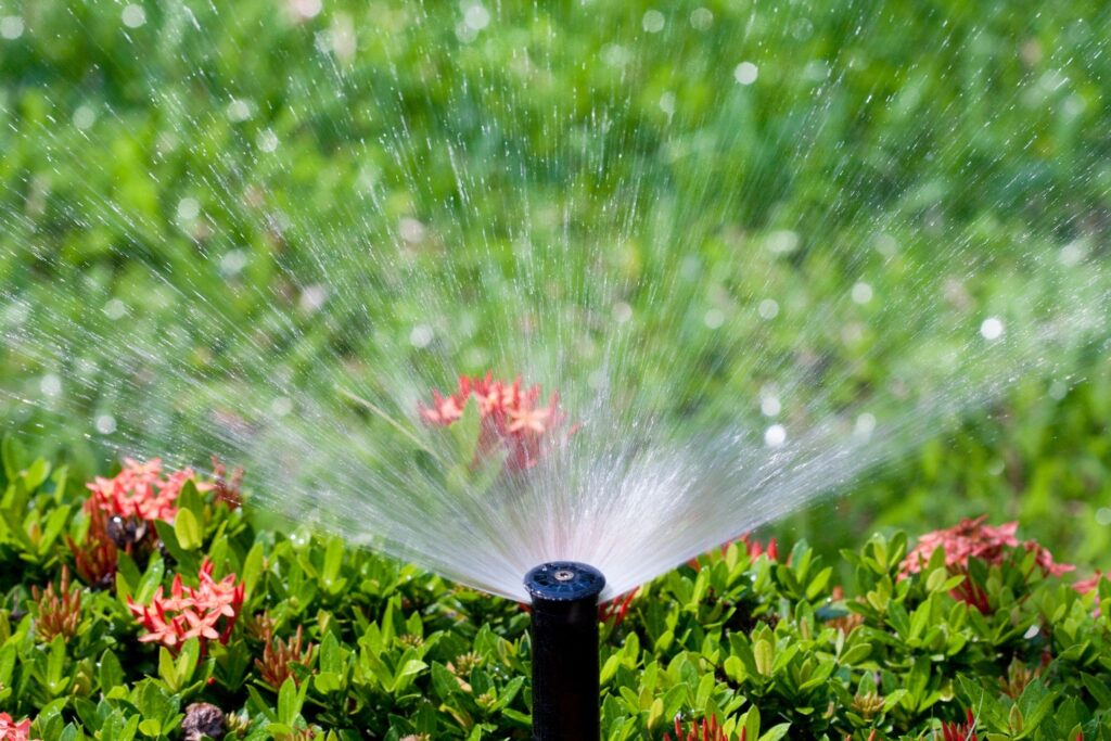 A sprinkler head spraying water over grass.